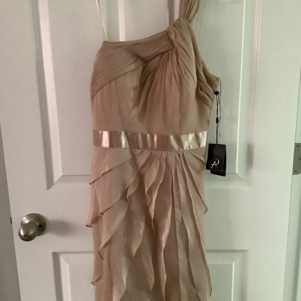 Dress | size 6 | Adrianna Pappel | Cocktail  | Champagne, blush, nude - Picture 5 of 14